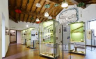 Apertura estiva Museo Monti della Riva